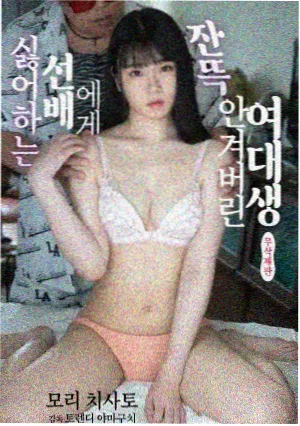机械之魂封面